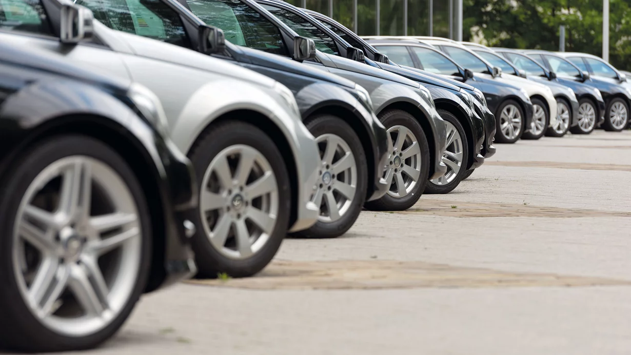 
										Plug-in-Hybride holen auf
									