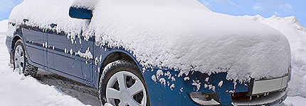 wintercheck_430px_150px.jpg
